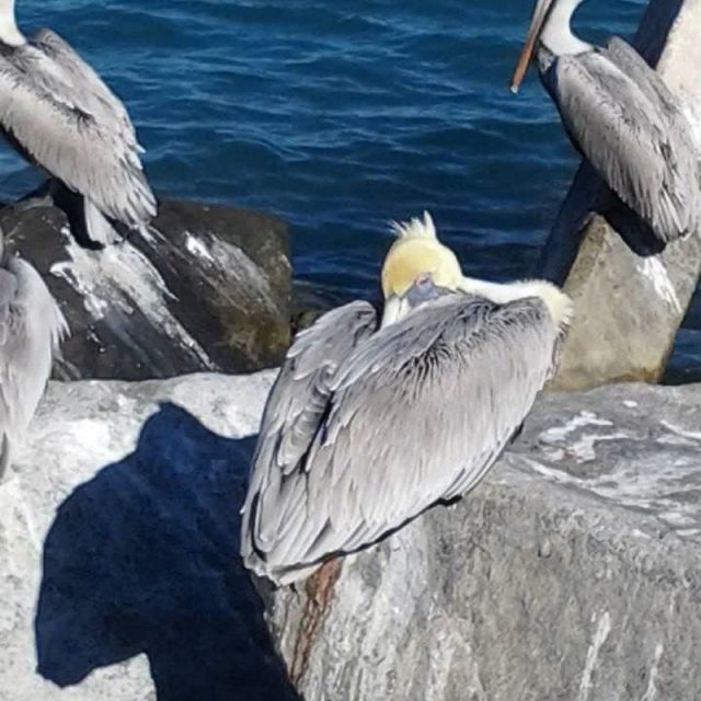 Sunbathing