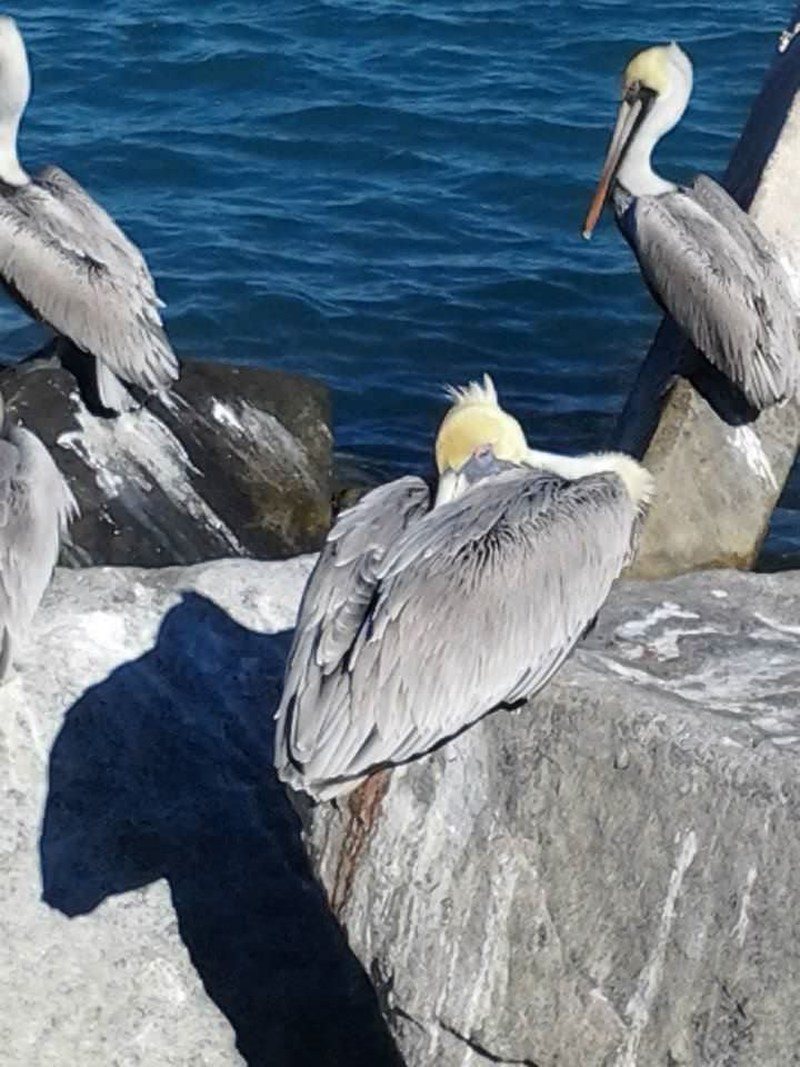 Sunbathing