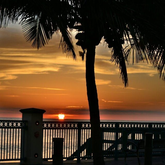 Sexton Plaza Sunrise