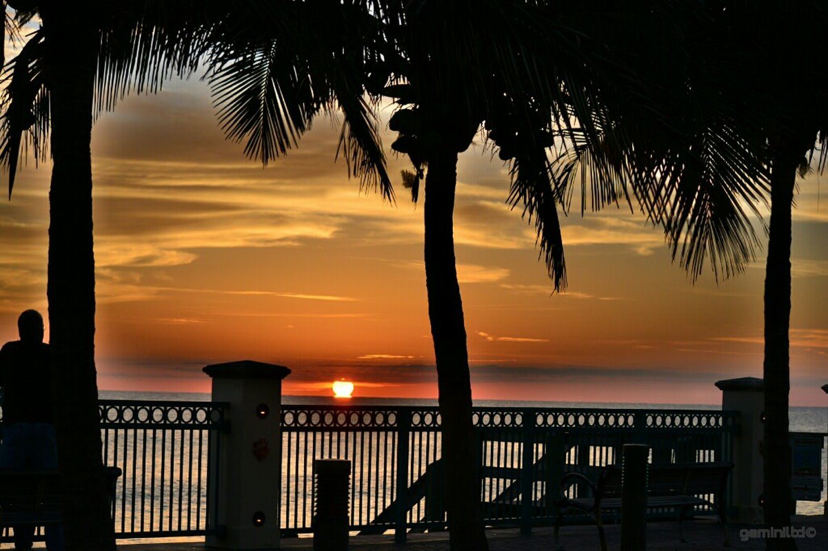 Sexton Plaza Sunrise