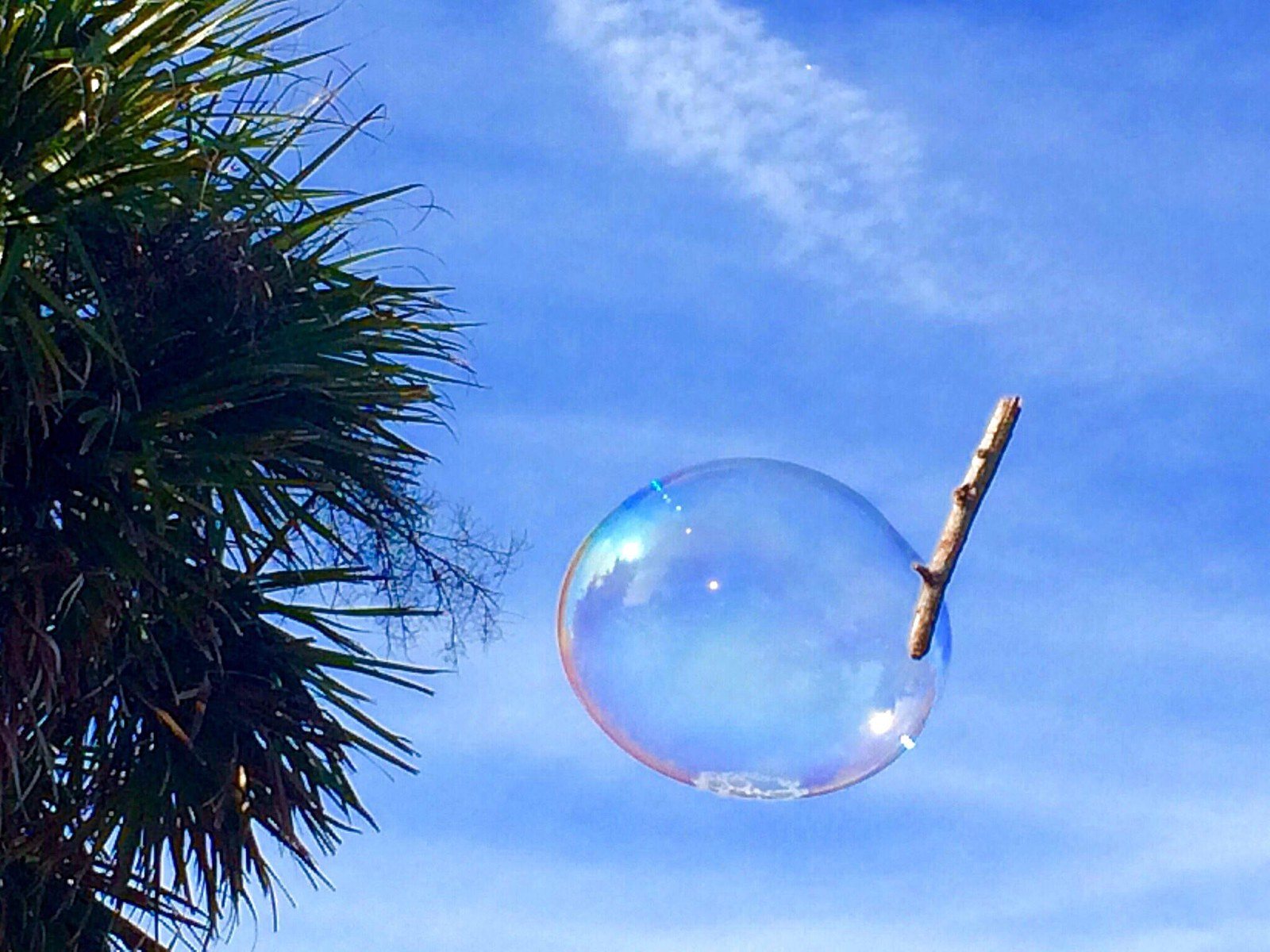 Burst My Bubble