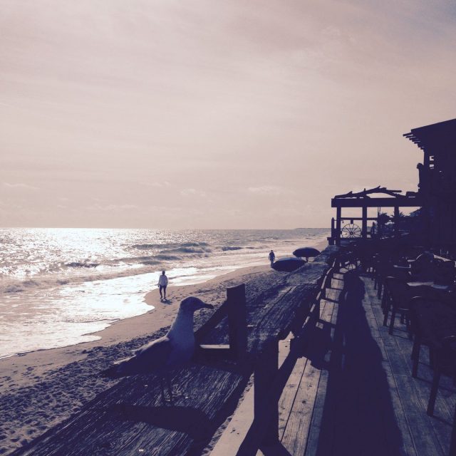 Sunin' In Sepia