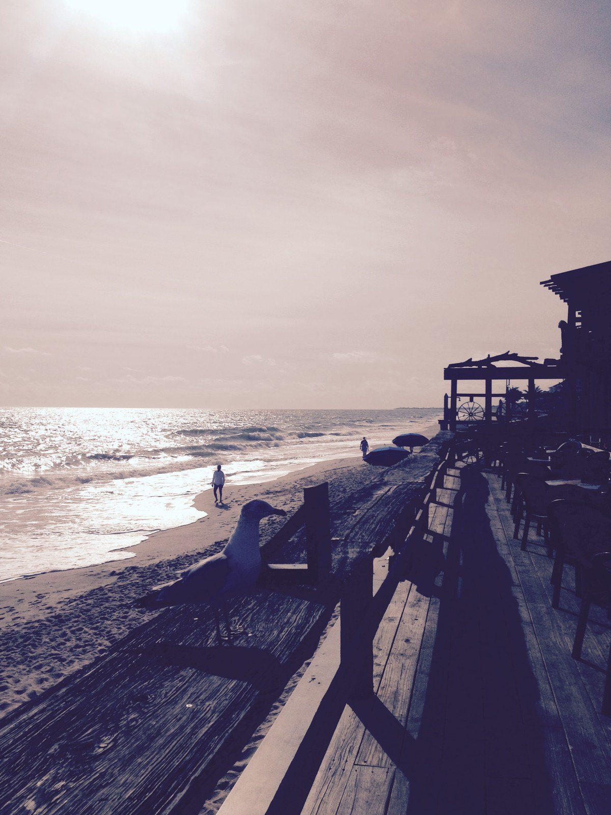 Sunin' In Sepia
