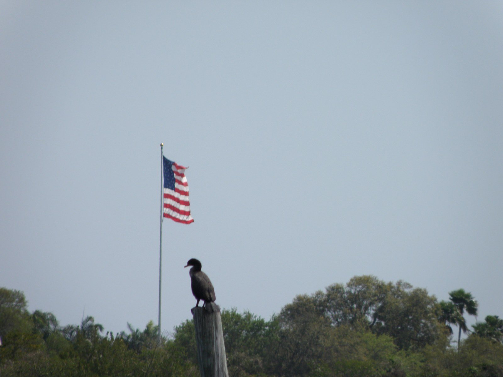 Red, White And Blue