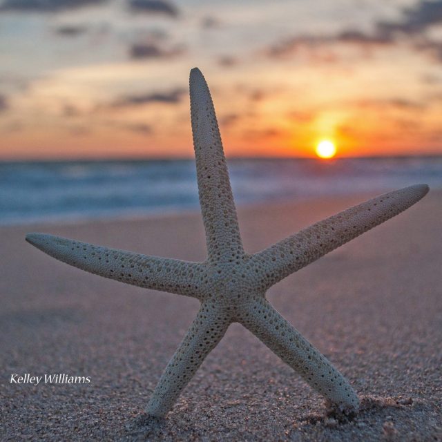 Starry Sunrise