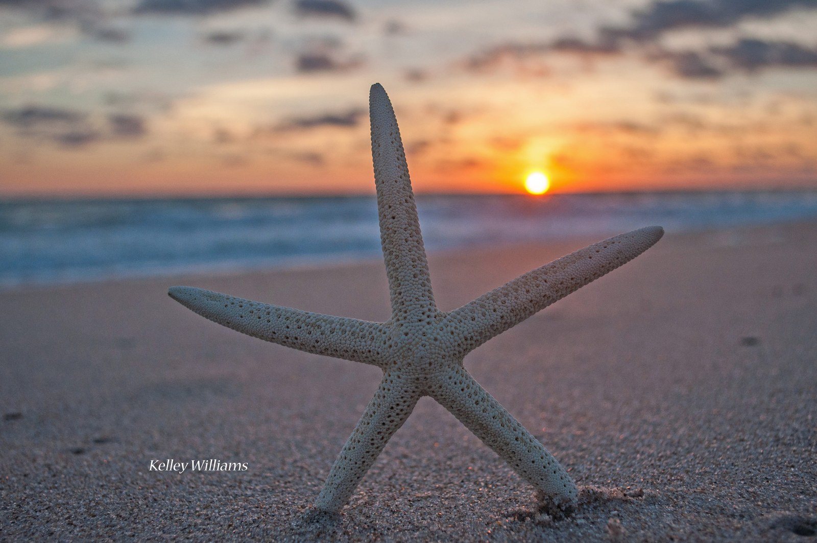 Starry Sunrise