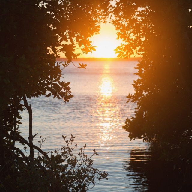 Long Point Sunset