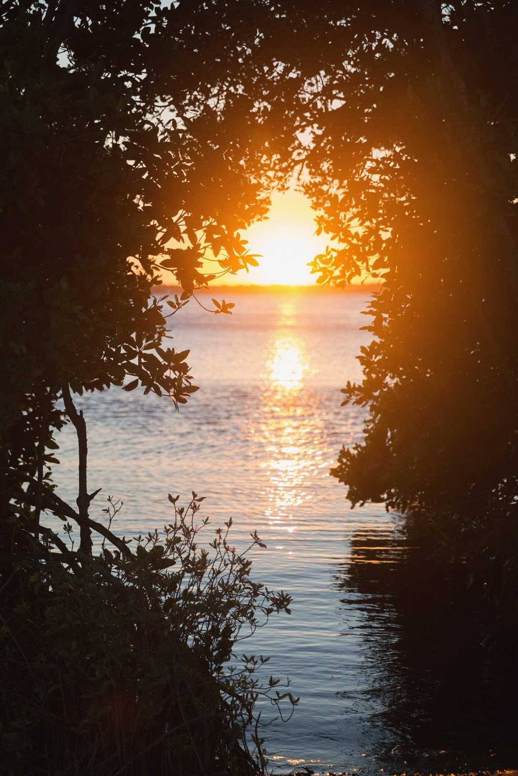 Long Point Sunset