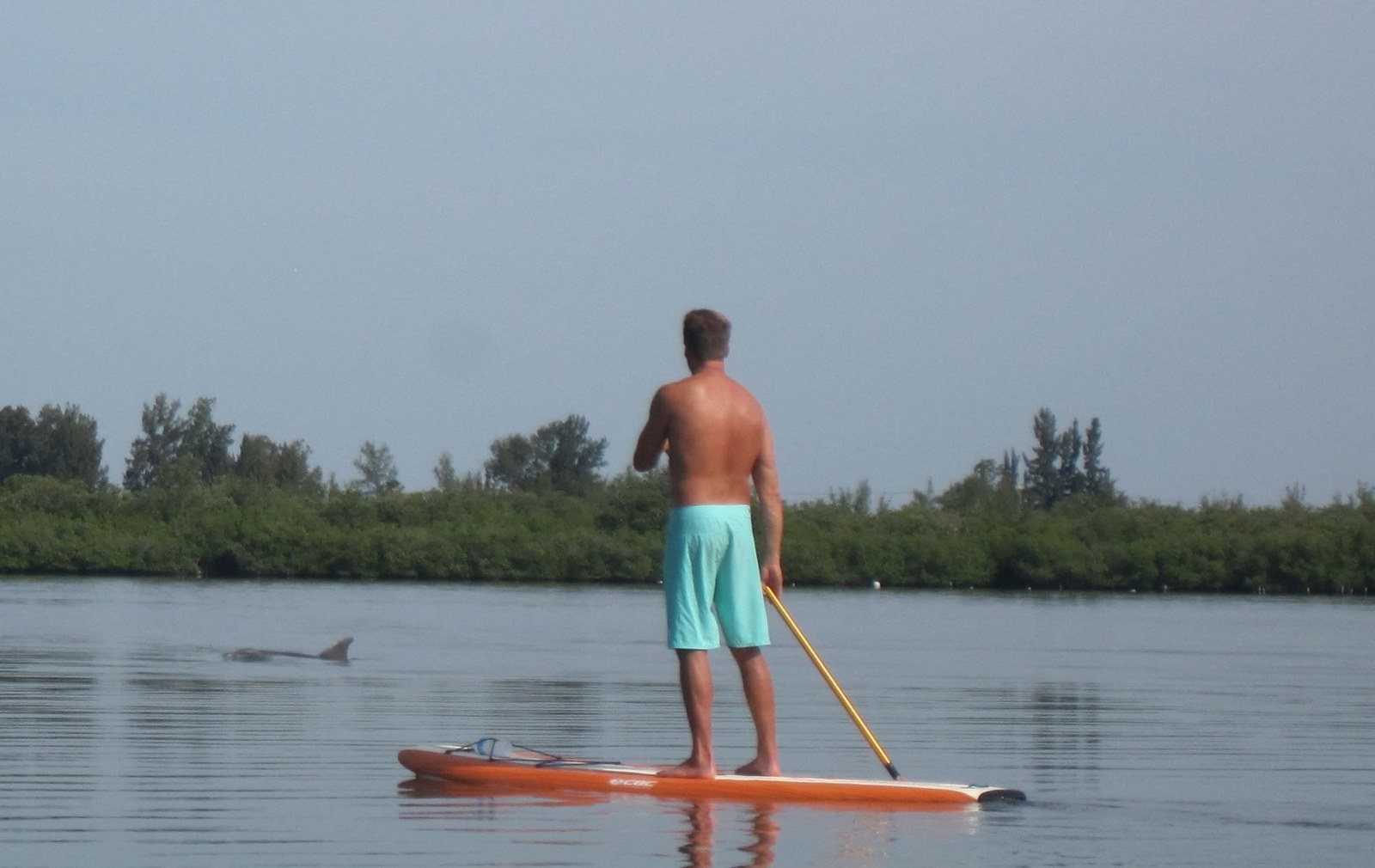 Fun With Flipper