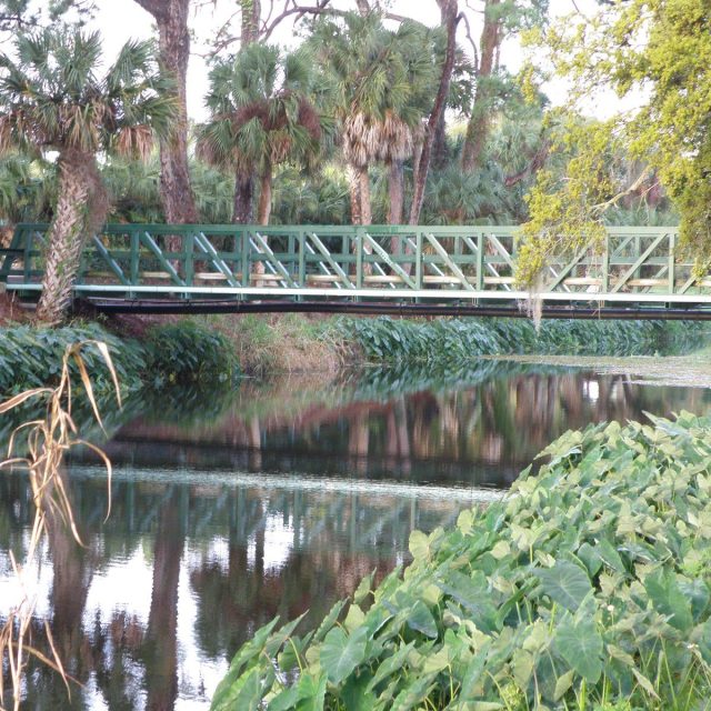 Water Under The Bridge