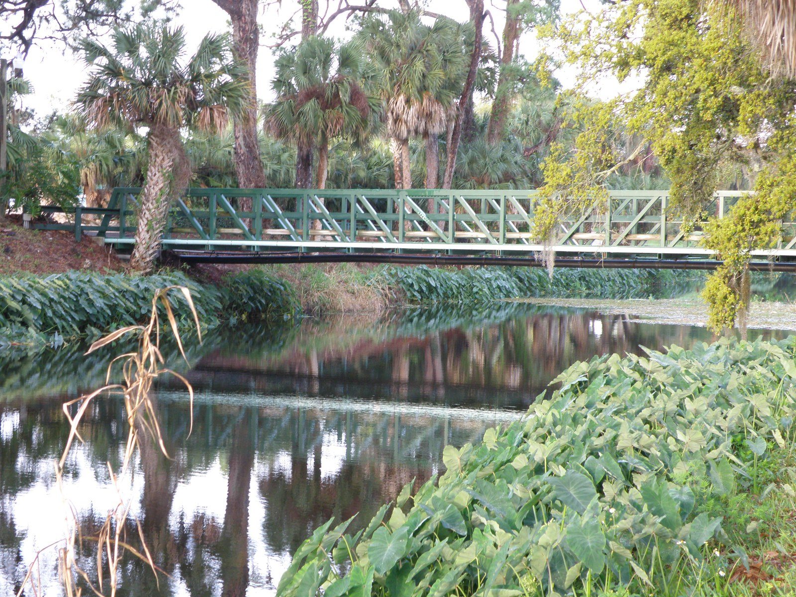 Water Under The Bridge