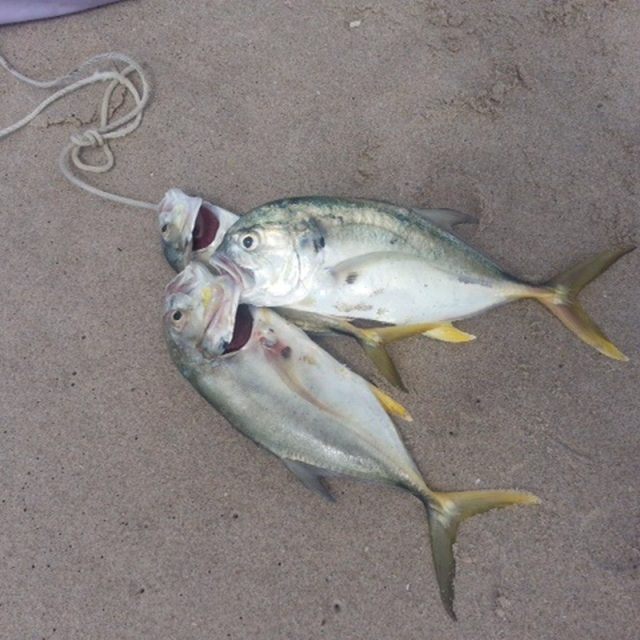 Perfectly Pompano