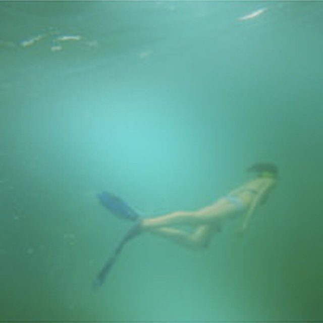 Mermaids Of Atlantis