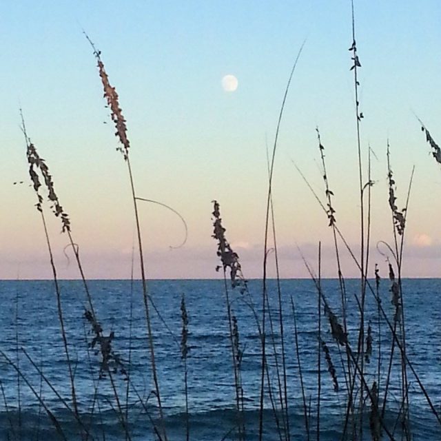 J.C.BEACH SEAGRASS SUNRISE