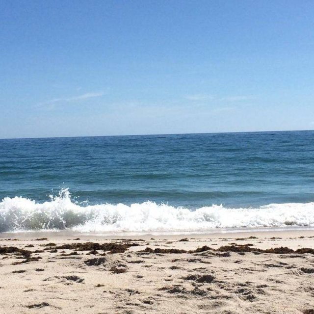 Livin' In Paradise
