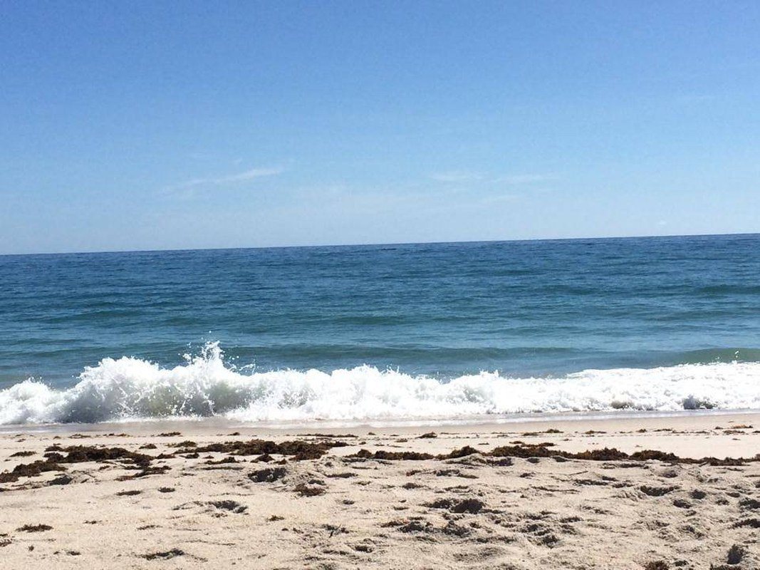 Livin' In Paradise