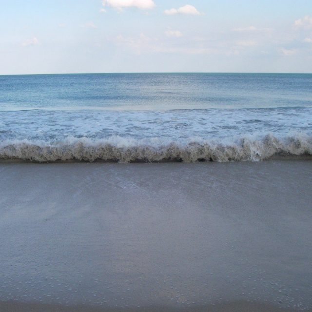 The Perfect Wave