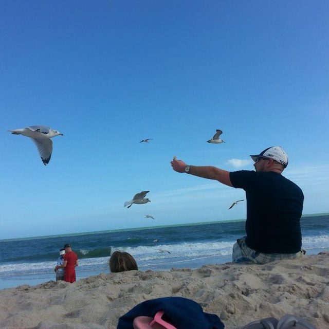 Feeding The Gulls