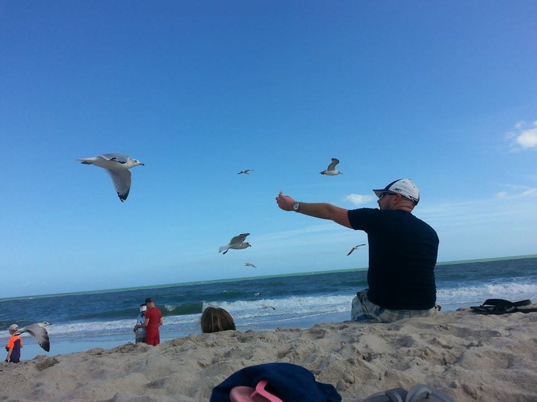 Feeding The Gulls