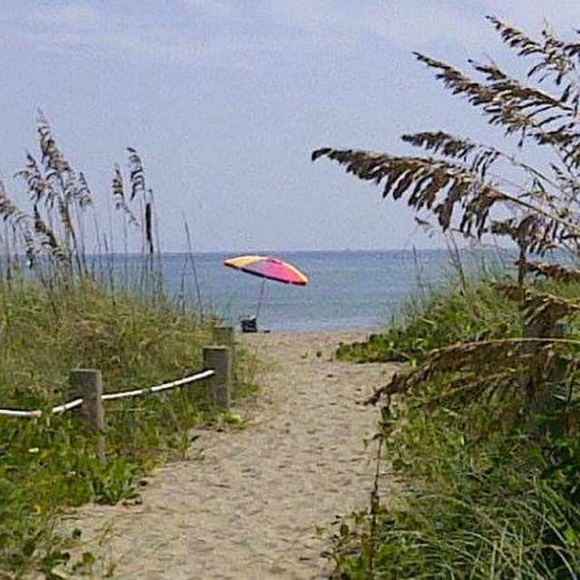 The Simple Life - South Beach