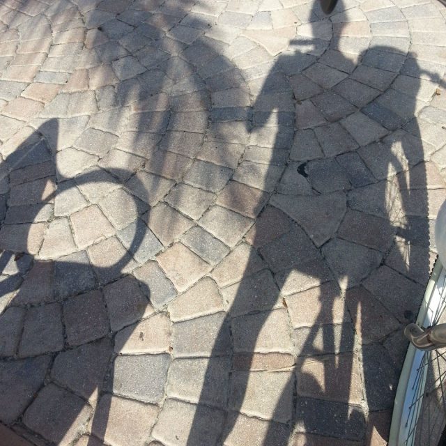 Shady Days