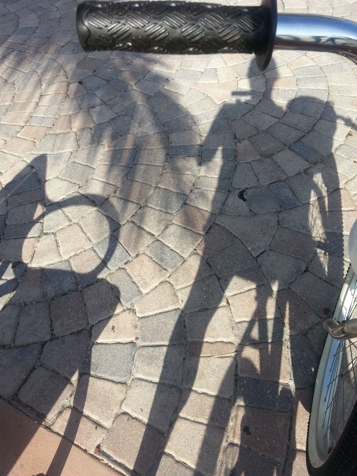 Shady Days