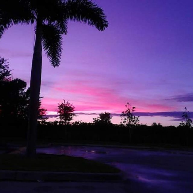 Paradise