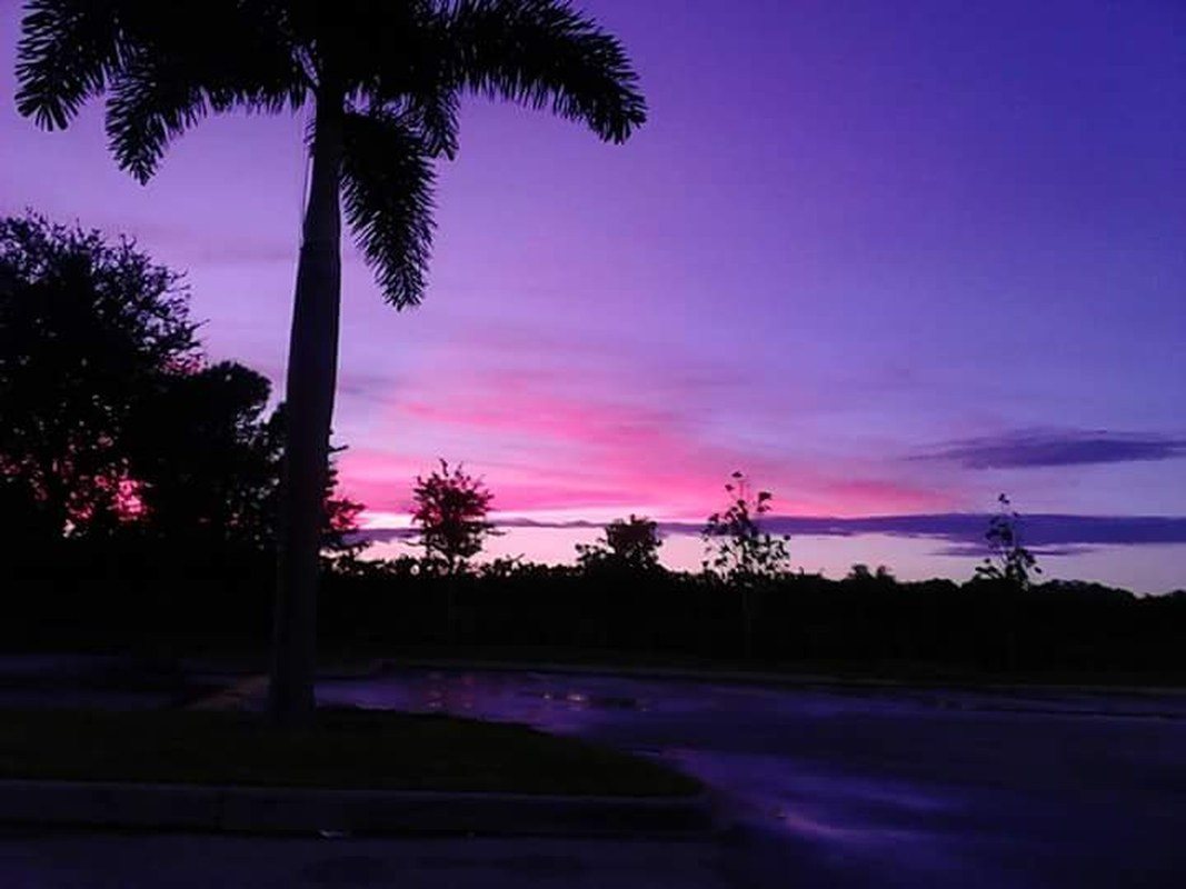 Paradise