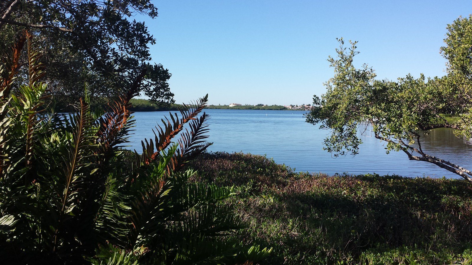 Island Life