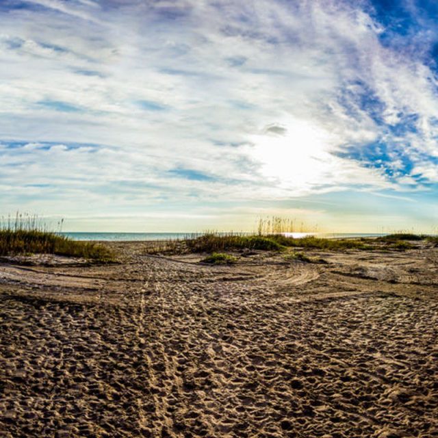 Beach Panorama