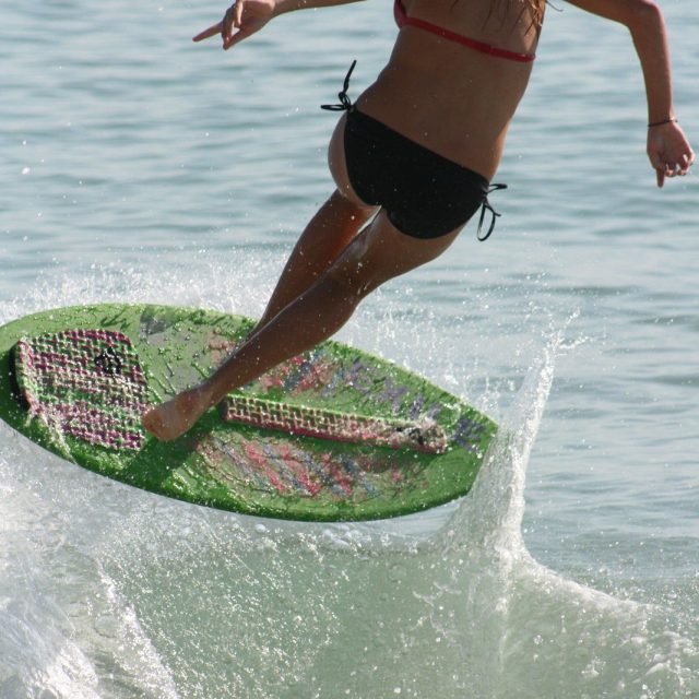 Skimming The Sea Shore
