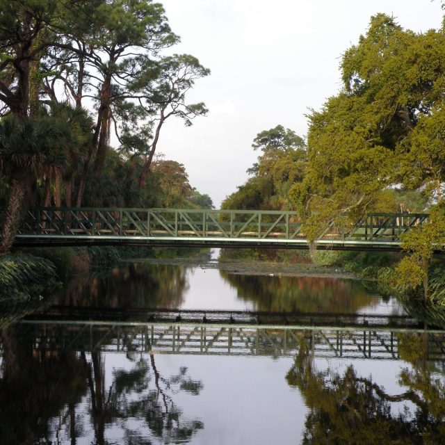 River Reflection