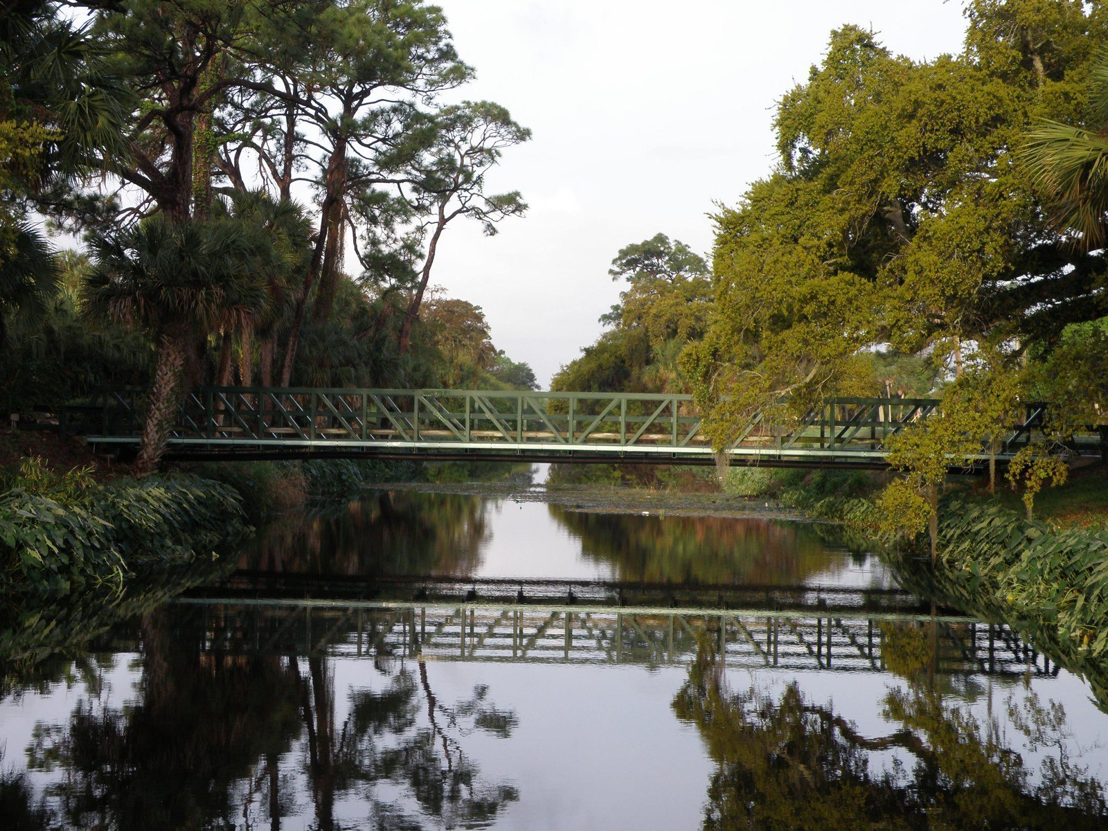 River Reflection