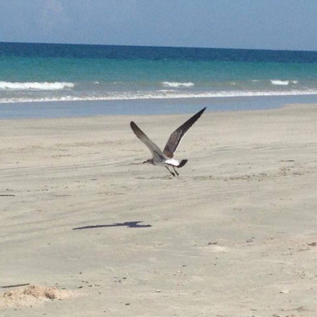 Flight