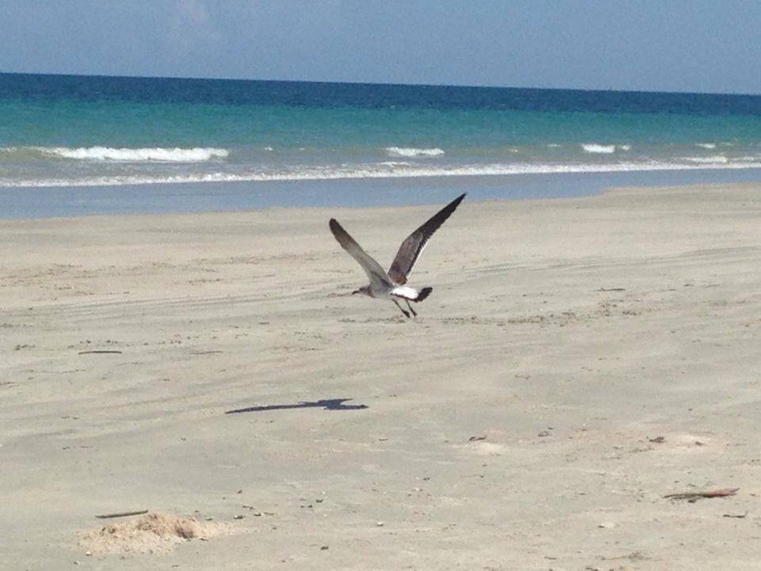 Flight