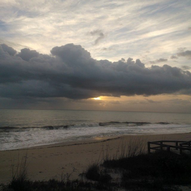 Patricia's photo
