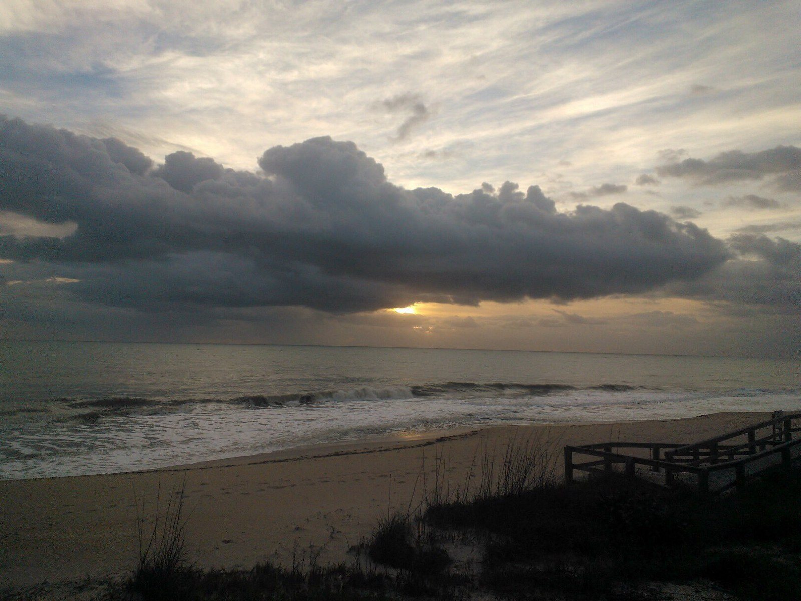 Patricia's photo