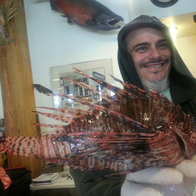 Mighty Lionfish