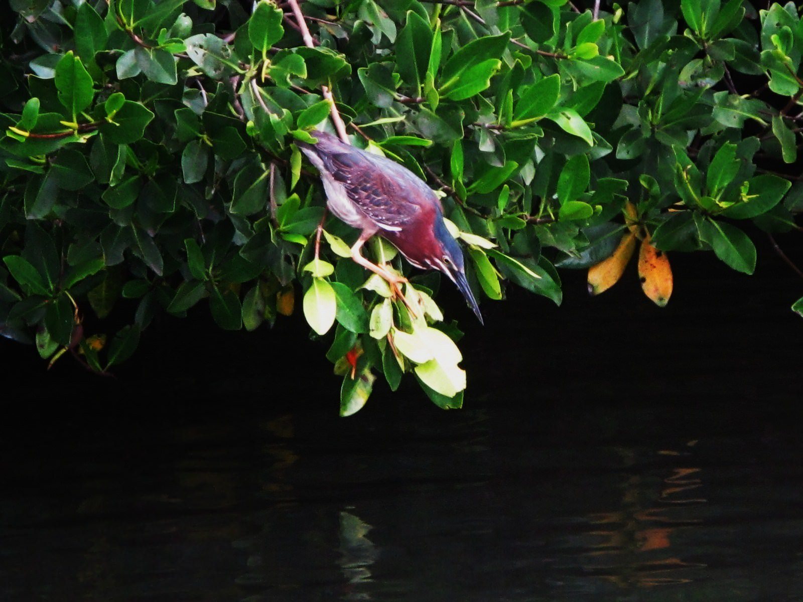 SPRING FISHIN' AROUND THE VERO BEACH MARINA