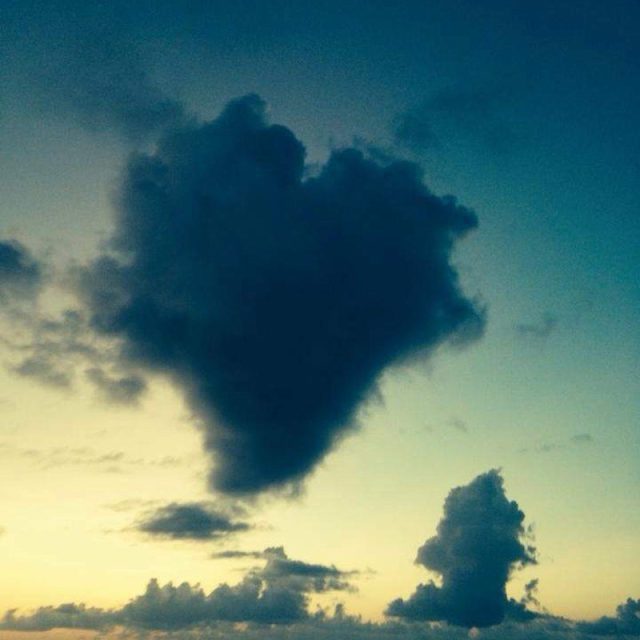 "Love Is In The Air"