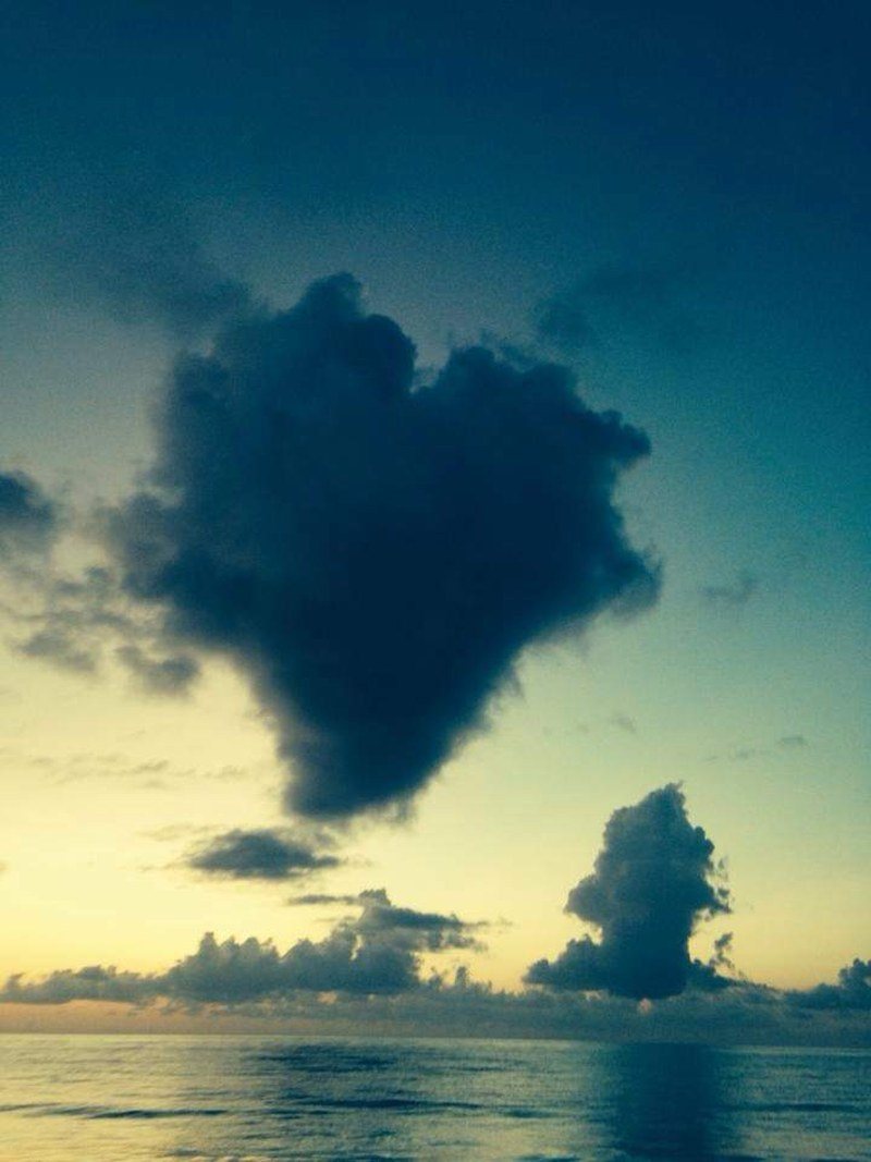 "Love Is In The Air"