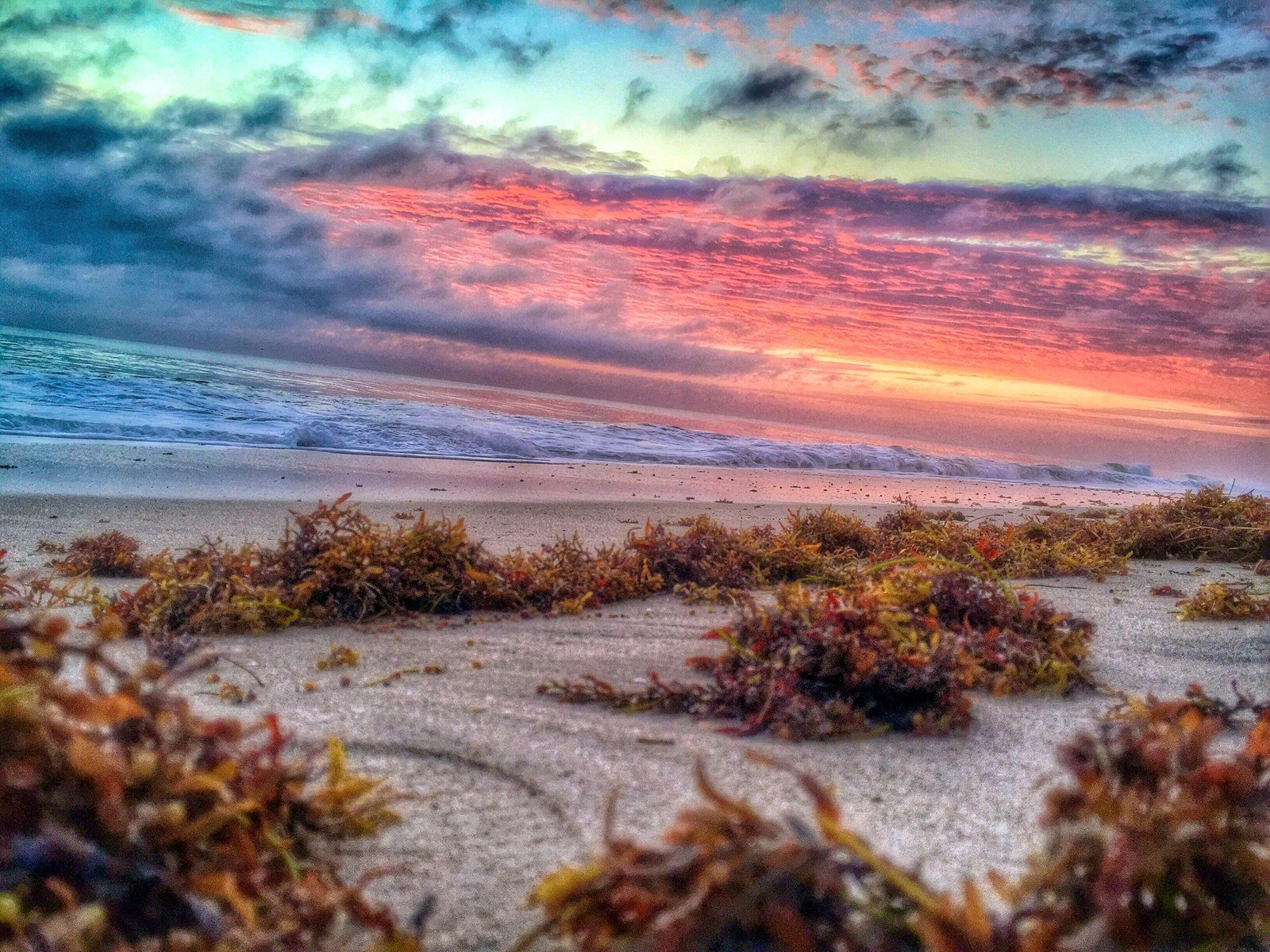 Peaceful Morning