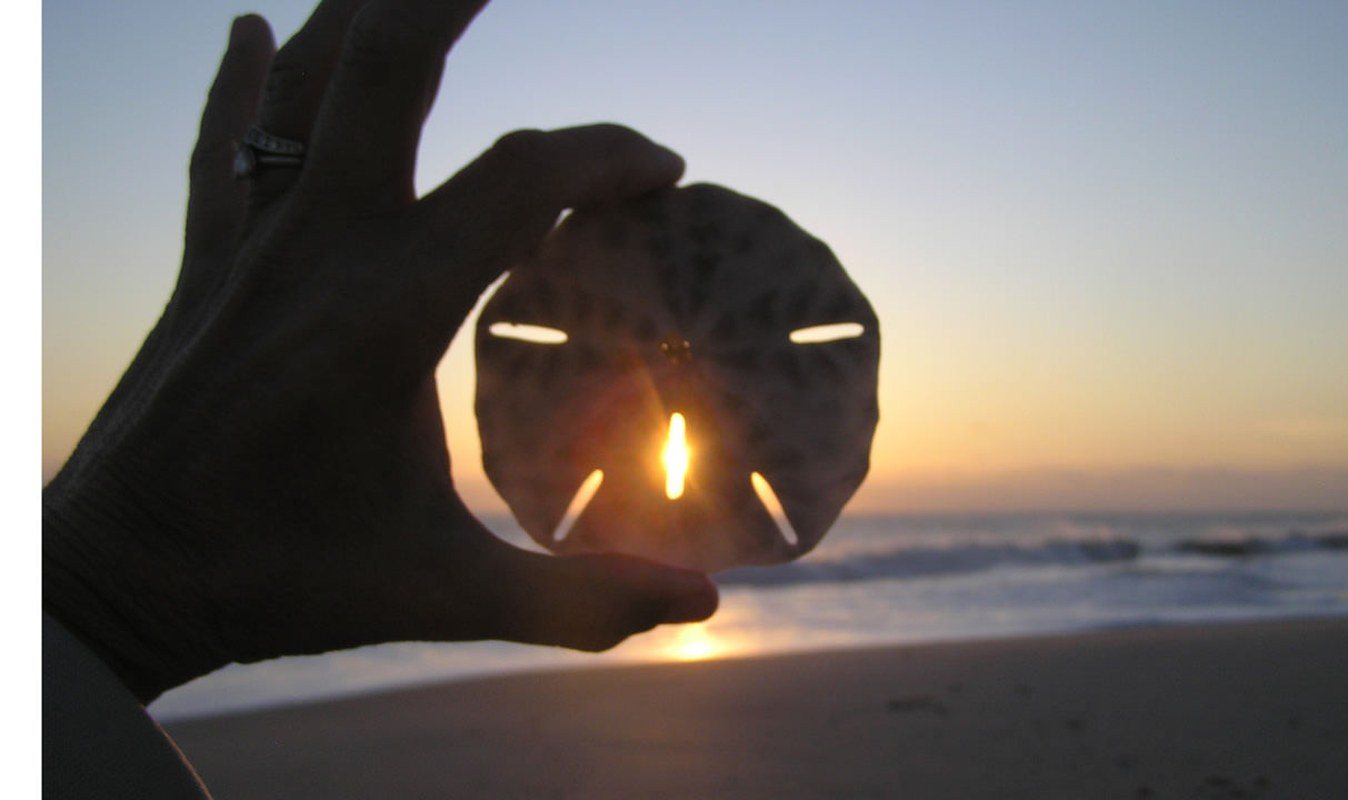 Sand Dollar, Sunrise, South Beach, Vero Beach