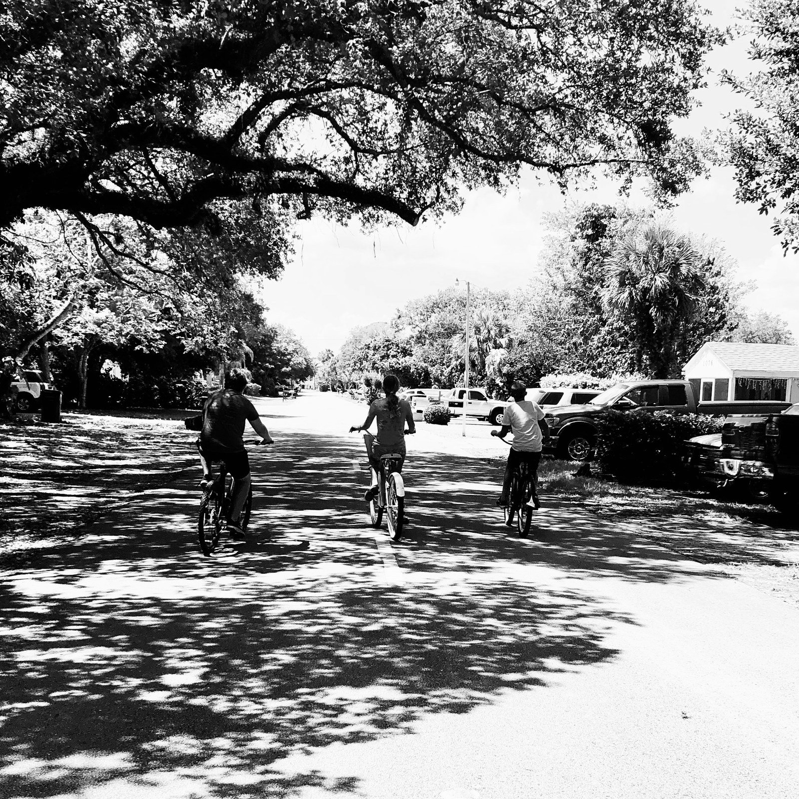 Neighborhood Friends, Gifford Classmates Ben Hall, Allison Muller, Hugh Graves T
