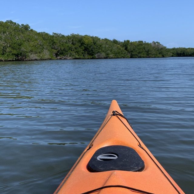 What Better To Social Distance Than Kayaking The Lagoon