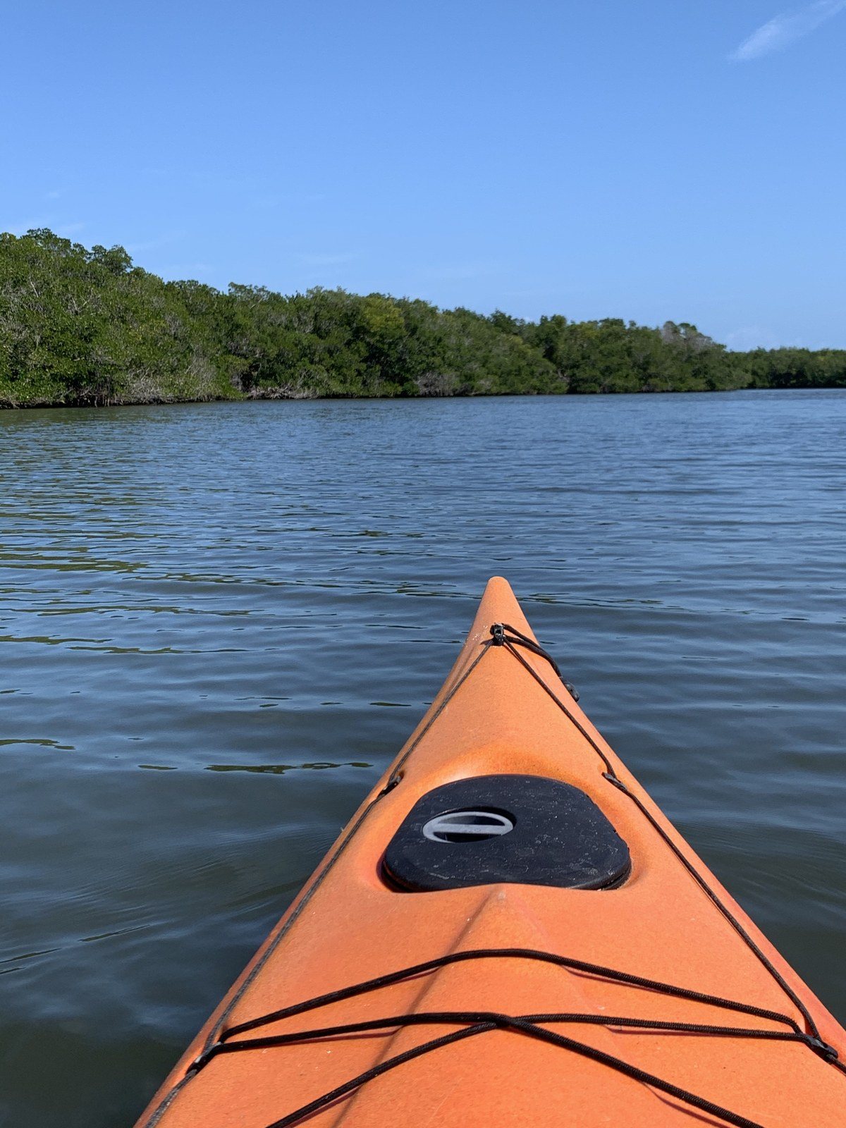 What Better To Social Distance Than Kayaking The Lagoon