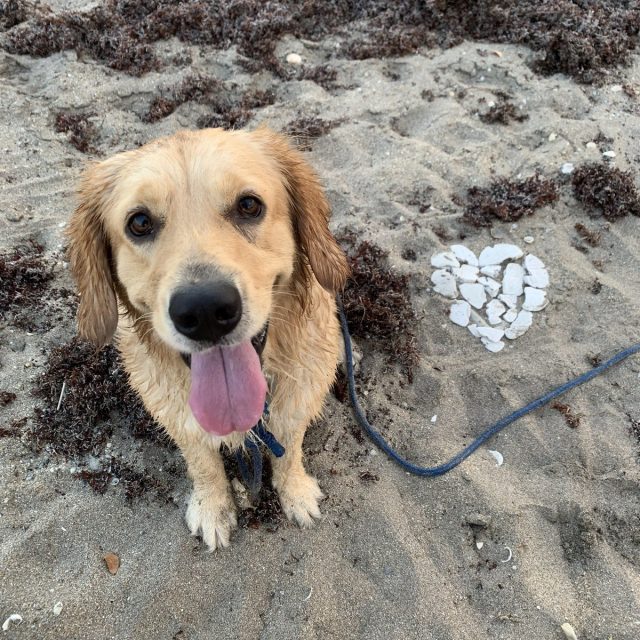 Mildred Loving The Vero Beach Life
