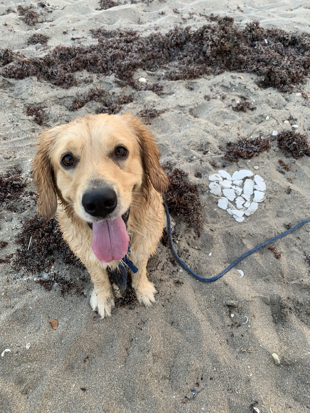 Mildred Loving The Vero Beach Life
