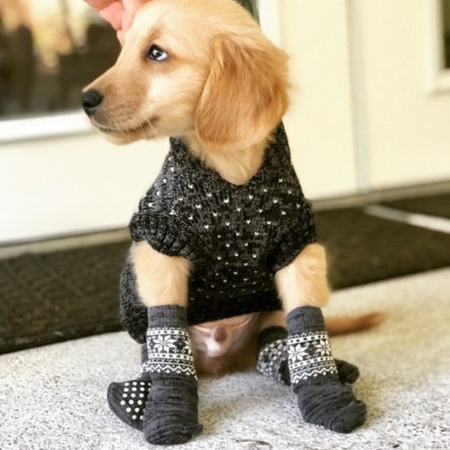 Baby It's Cold Outside!