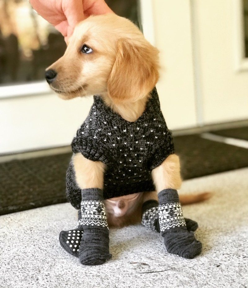 Baby It's Cold Outside!